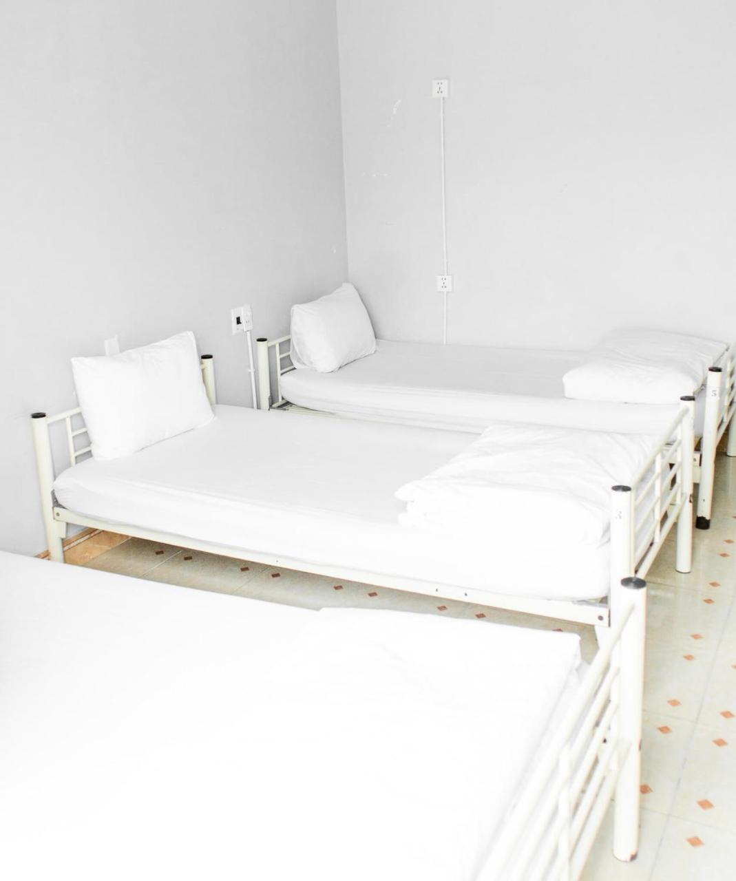 Sunflower Hostel 호이안 외부 사진